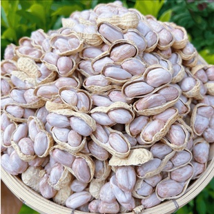好吃不上火水煮白晒花生龙岩花生盐水花生咸干花生带壳花生