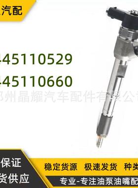 0445110529/0445110660云内4102共轨喷油器总成质量保证