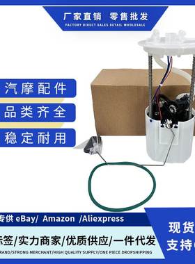 E2529M燃油泵总成适用于福特2009-2010翼虎