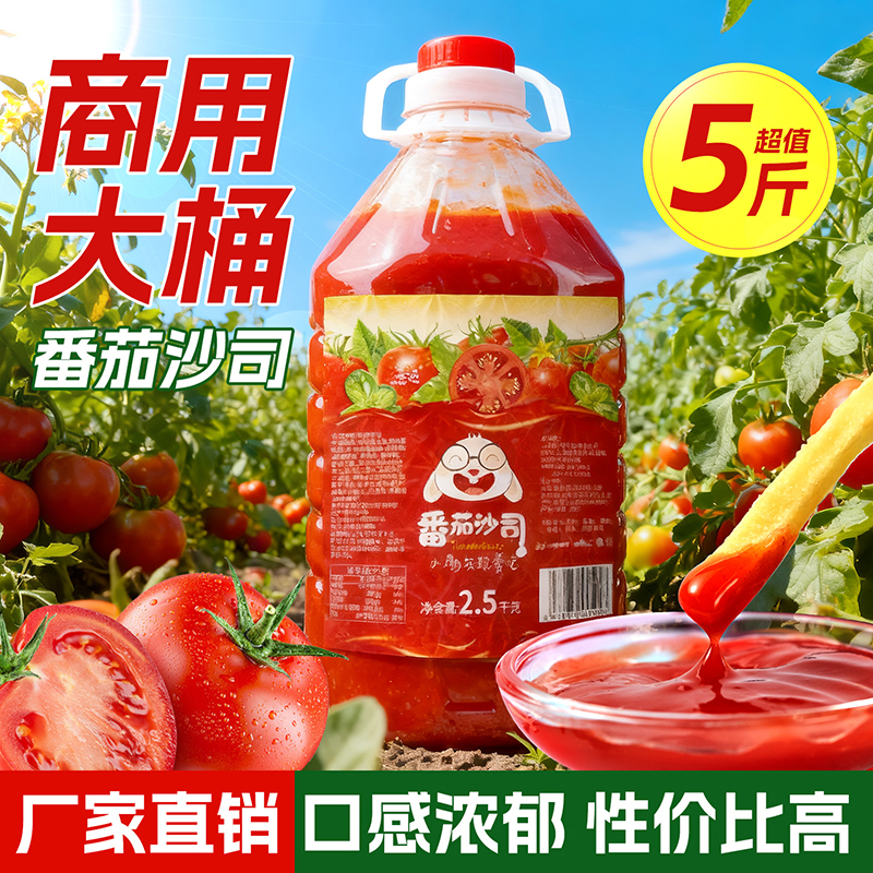 宴遇番茄酱商用批发蕃茄沙司摆摊