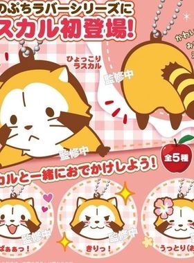 扭蛋正品 skjapan 小浣熊 拉斯卡尔 RASCAL 挂件装饰