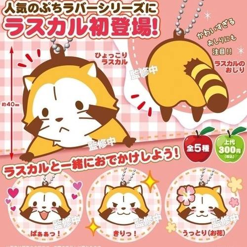 扭蛋正品 skjapan 小浣熊 拉斯卡尔 RASCAL 挂件装饰