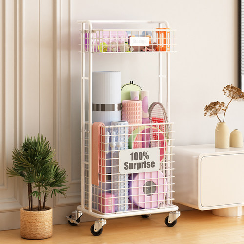 环图移动运动双层器材收纳架