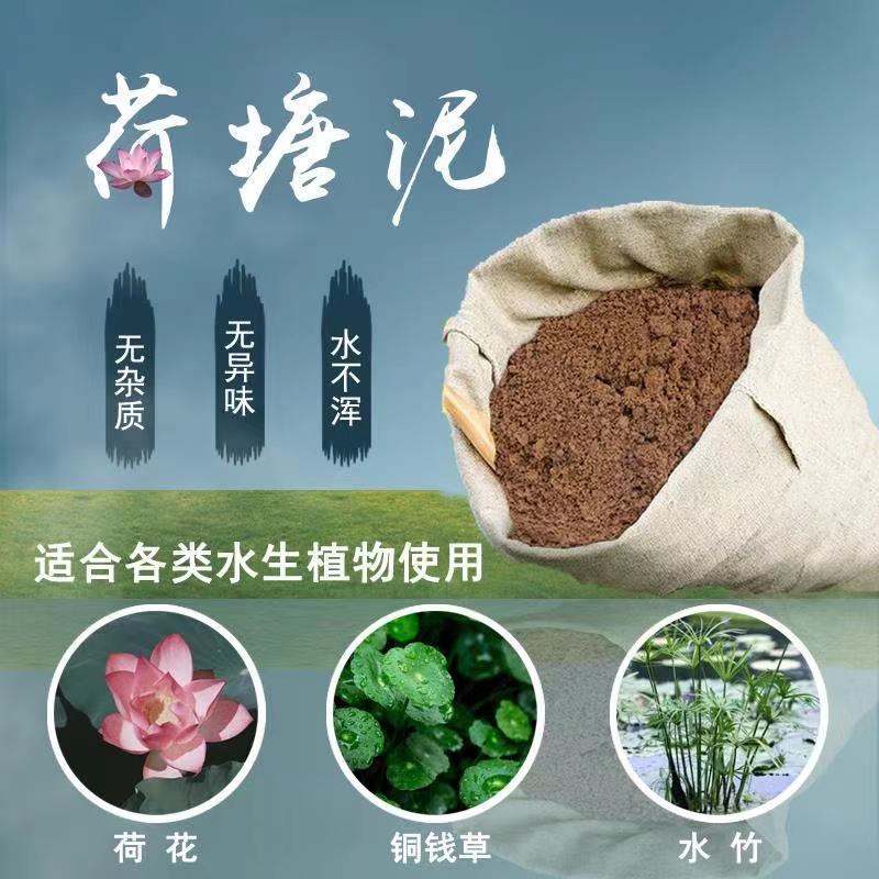 天然荷塘泥30斤大包水培植物通用型淤泥睡莲碗莲专用荷花土营养泥 鲜花速递/花卉仿真/绿植园艺 介质/营养土 原图主图