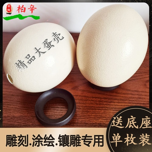 100%正宗天然大号鸵鸟蛋空壳