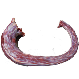 整只整条鸵鸟脖子新鲜鸵鸟生肉大脖批发散养高端酒店食材顺丰包邮