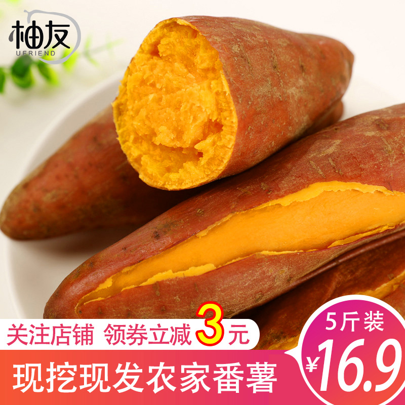 柚友 黄心番薯板栗红薯现挖农家番薯沙地糖心蜜薯地瓜山芋5斤中果