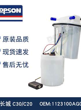 适用于长城C30 C20 1123100AG08XA 燃油泵总成