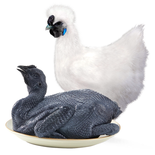 温氏供港乌骨鸡1kgx2只新鲜整只农家散养土鸡正宗五黑乌鸡走地鸡