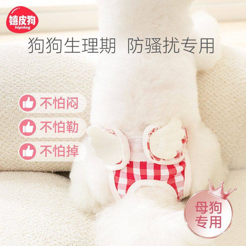 生理裤系泰迪骚扰姨妈清防尿不湿狗狗透气新韩裤中小型犬