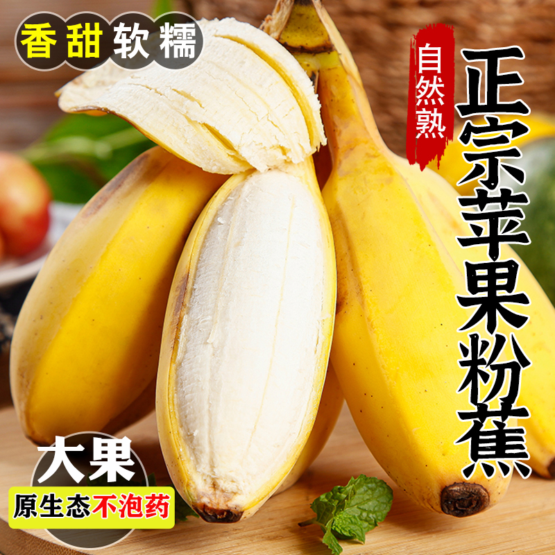 正宗苹果蕉粉香蕉新鲜9斤当季整箱水果甜芭蕉圆香焦banana大果10