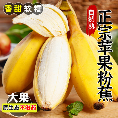 正宗苹果蕉新鲜9斤大果整箱
