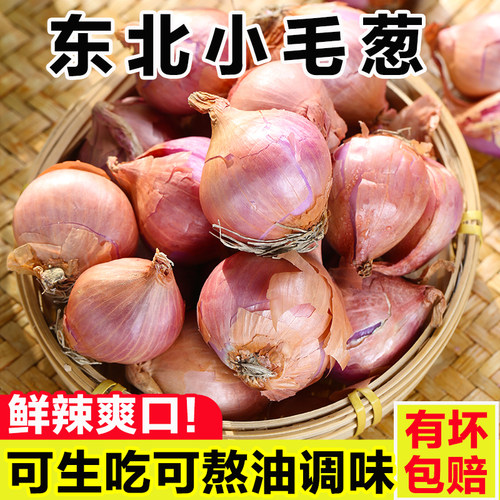 正宗东北毛葱头5斤大果