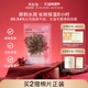 Abib阿彼芙弱酸性复活草含生草面膜女补水保湿 官方旗舰店正品 韩国