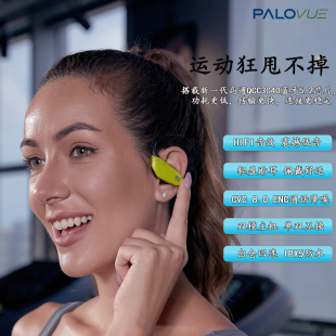 跑步通话降噪长续航 palovue运动型hifi蓝牙耳机无线5.2双耳挂耳式