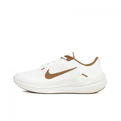 Nike耐克男鞋ArWnflo10舒