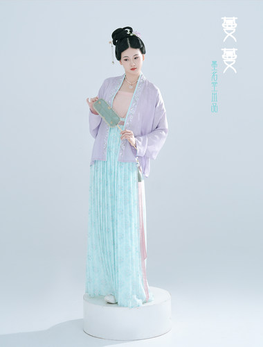 真丝花罗飞机袖双绉褶裙宋制汉服