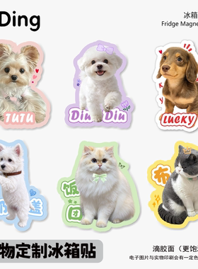 宠物冰箱贴定制猫咪狗狗照片定做滴胶周边装饰亚克力磁贴创意DIY