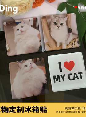 宠物冰箱贴定制照片 滴胶面猫咪狗狗周边纪念DIY磁吸亚克力定做