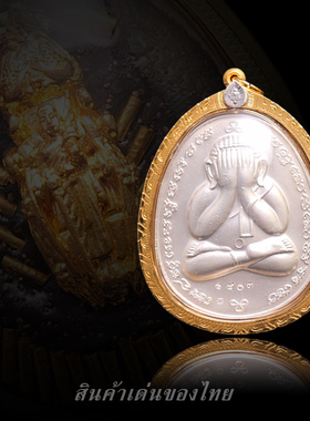 2559银色单蜂王必达掩面