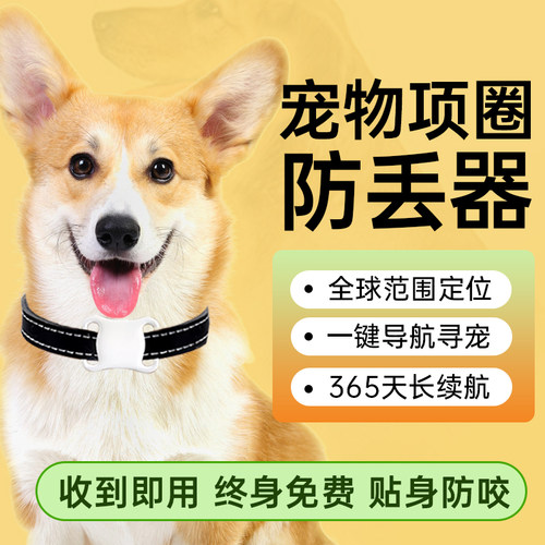 宠物定位器项圈佩戴猫咪防丢查找