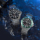 casio Casio Green black water ghost часы мужские swordfish для дайвинга 2025 новые электронные немеханические MDV-107 mini 4