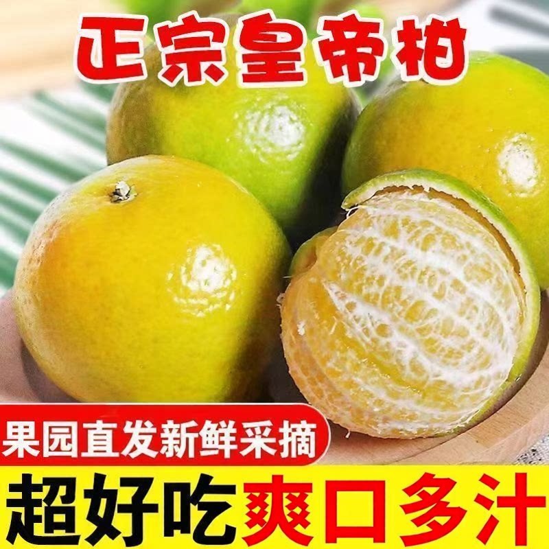 【产地直发】广西超甜皇帝柑正宗贡柑新鲜应季水果薄皮橘桔子现摘
