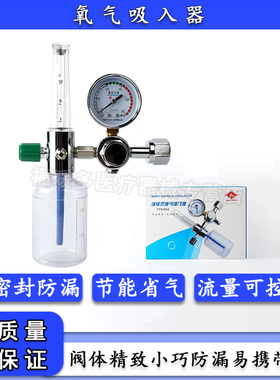 远燕浮标式氧气吸入器YYX-05A医用氧气瓶流量表压力表减压阀器氧