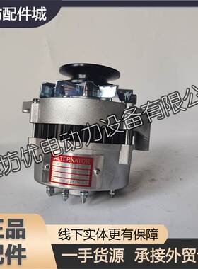 潍柴华丰4102潍坊华东柴油发动机4100铲车装载机750W发电机JF27A