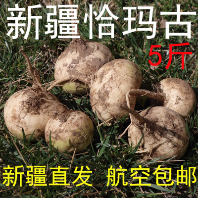 【新鲜现货】新疆阿克苏柯坪县恰玛古新鲜碱性食物诸葛菜5斤包邮