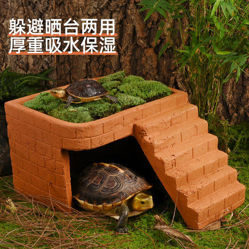 乌龟躲避屋晒台黄缘龟陶土洞穴