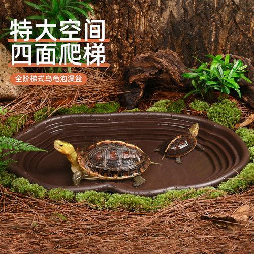 黄缘龟专用水盆乌龟泡澡盆大空间