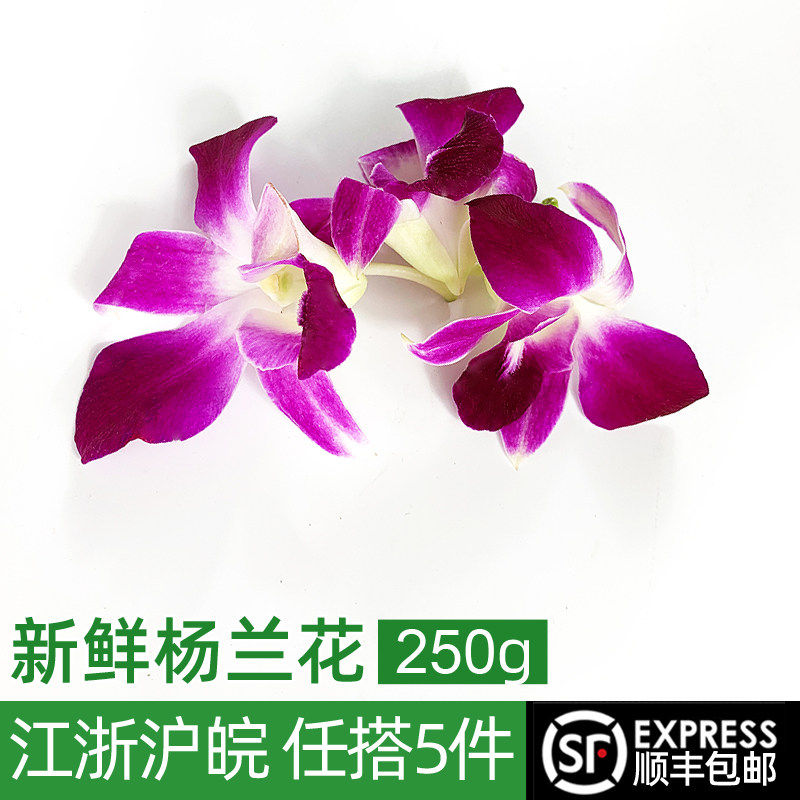 新鲜洋兰花250g杨兰花马兰花火锅摆盘装饰酒店饭店西餐点缀鲜花朵