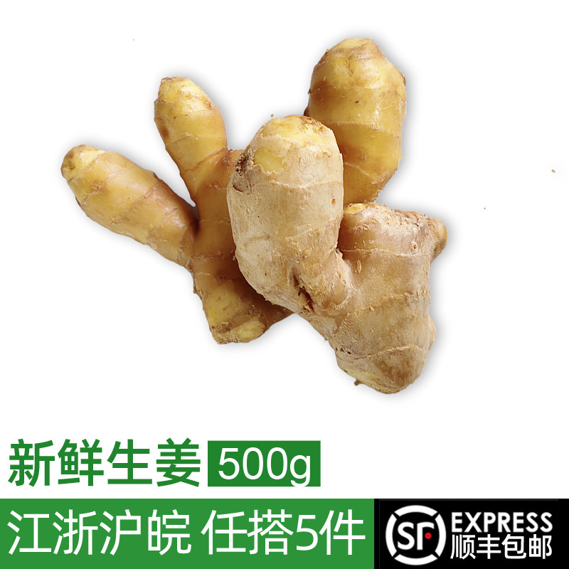 新鲜生姜500g 蔬菜老姜调味料大黄姜大姜干姜块月子姜