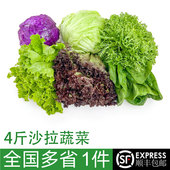 新鲜混合蔬果色拉生吃食材健身轻食套餐生菜沙拉 蔬菜沙拉组合4斤