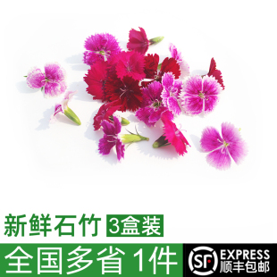 3盒 包邮 石竹梅西餐日料摆盘装 多省顺丰 饰花草 新鲜石竹花30朵