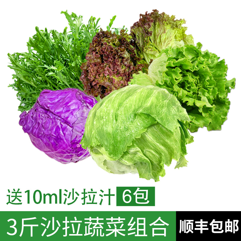 蔬菜沙拉组合3斤 新鲜混合蔬果色拉生吃食材健身轻食套餐生菜沙拉