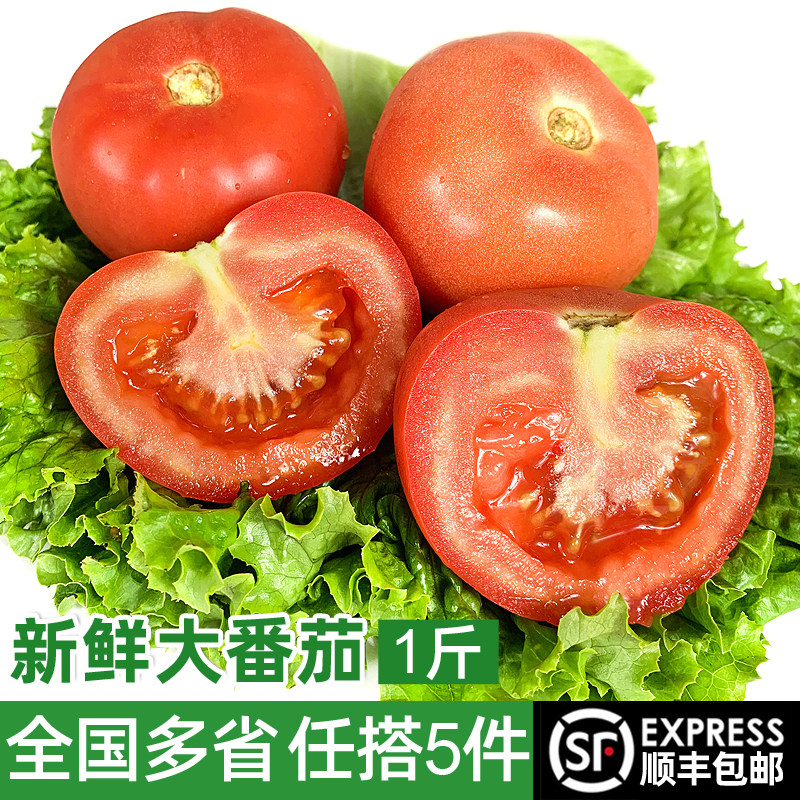 新鲜大番茄500g 生吃沙瓤西红柿农家蔬菜自然熟孕妇水果现摘柿子,水产肉类/新鲜蔬果/熟食,番茄,淘宝优惠券,粉丝福利购,淘宝优惠卷