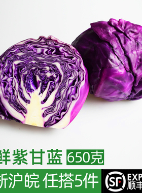 新鲜紫甘蓝650g 紫包菜球紫色红椰菜 西餐蔬菜轻食沙拉生菜食材