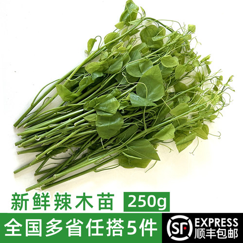 新鲜辣木苗龙须菜酒店特色蔬菜