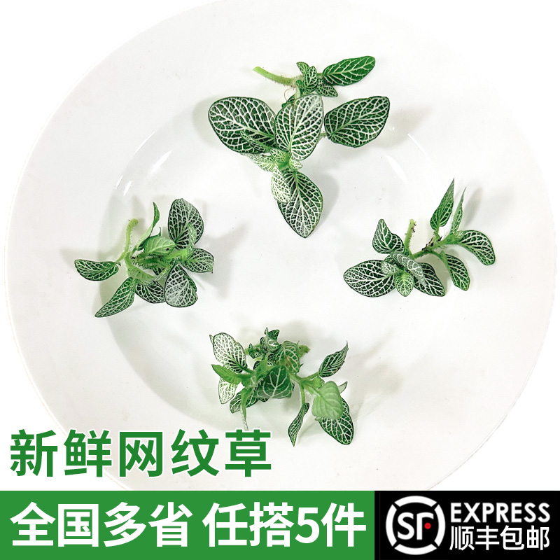 潮流精品,品质保证