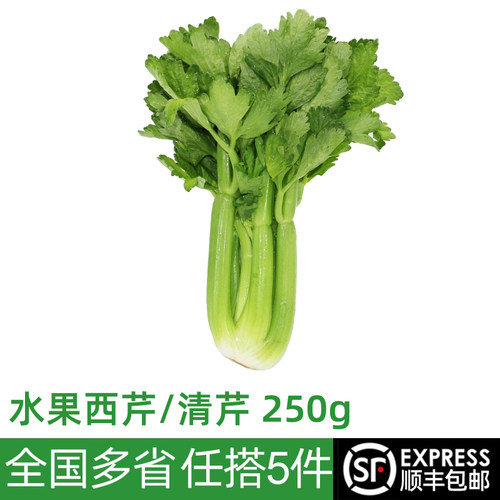 新鲜爽口水果西芹绿食者