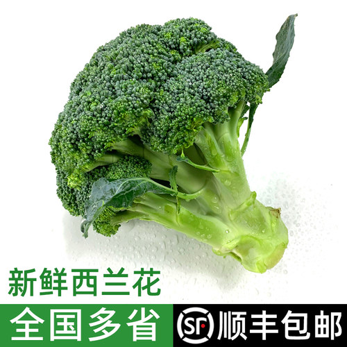 新鲜西兰花绿食者时令蔬菜