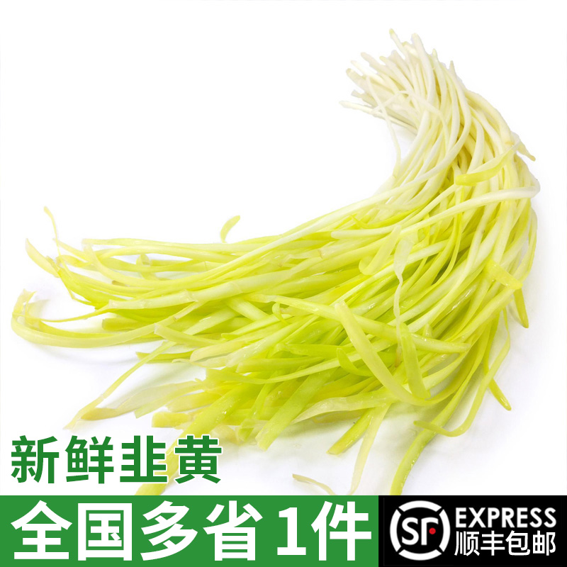 新鲜韭黄 低温偏绿 正宗时令蔬菜现摘现发 嫩黄清香 多省包邮