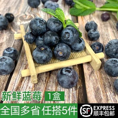 新鲜蓝莓鲜果1盒现摘江浙沪皖