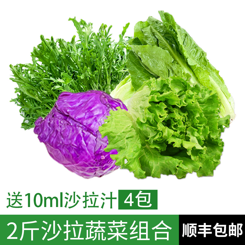 蔬菜沙拉组合2斤 新鲜混合蔬果色拉生吃食材健身轻食套餐生菜沙拉
