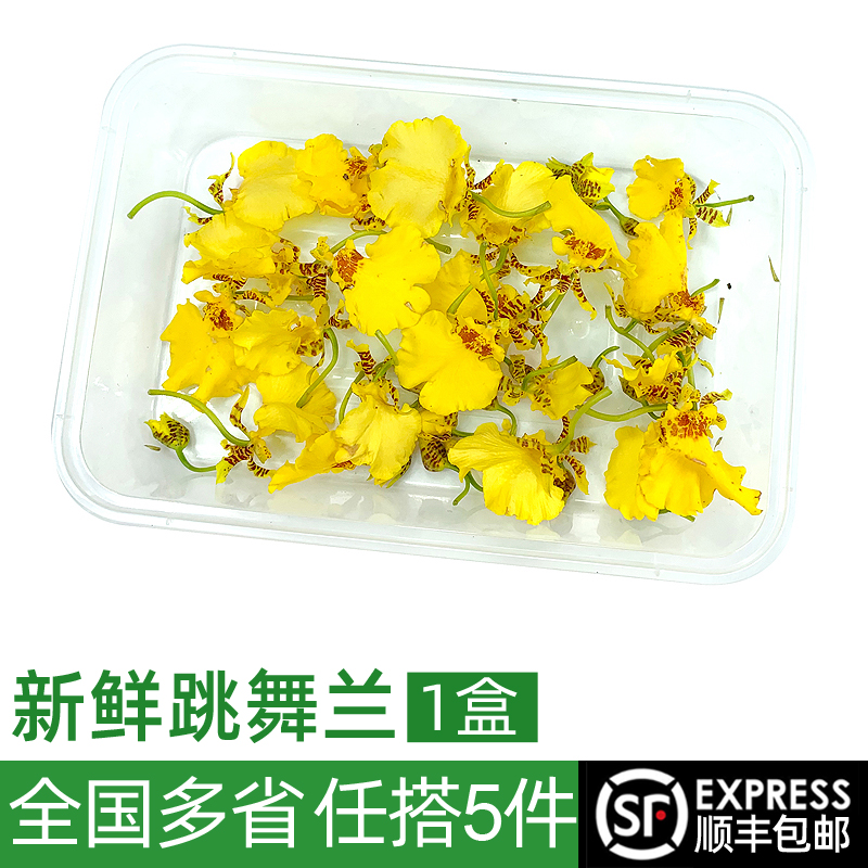 新鲜金蝶兰跳舞兰20朵左右1盒 文心兰 西餐烘焙装饰摆盘花草