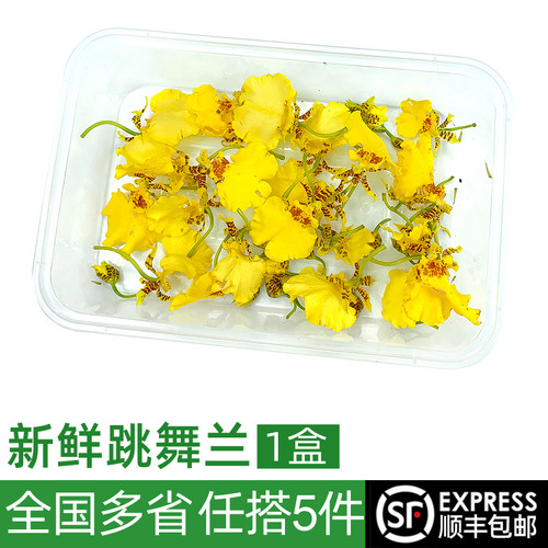 新鲜金蝶兰跳舞兰20朵左右1盒 文心兰 西餐烘焙装饰摆盘花草