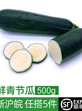 新鲜青节瓜500g 青黄西葫芦绿色蔬菜青茄瓜炒菜煲汤食材 5件包邮