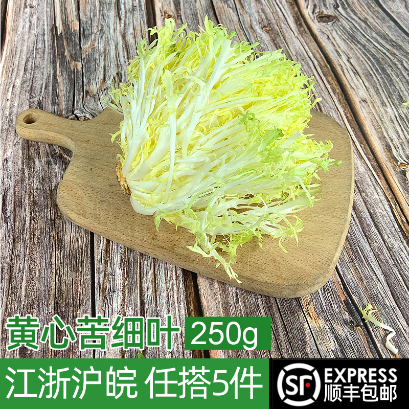 新鲜黄心苦菊沙拉蔬菜
